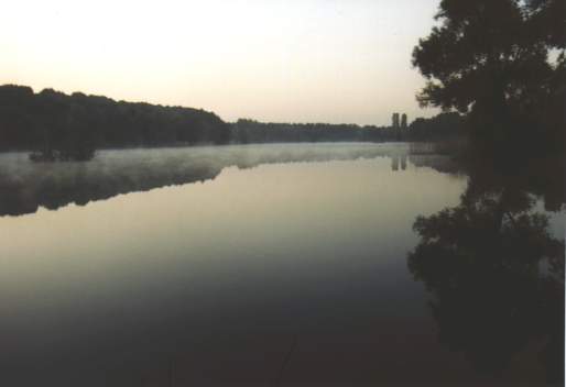 Anglerweiher am Morgen